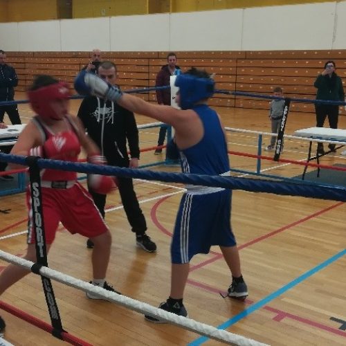 25 janvier 2020 - Reunion BEA La Baule